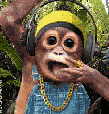 cute-bright-eyed-monkey-getting-down-to-some-wicked-tunes