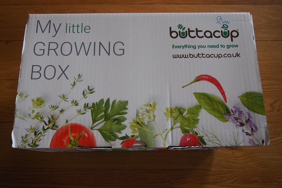 Buttacup Grow Kit Review , giveaway, children gardening
