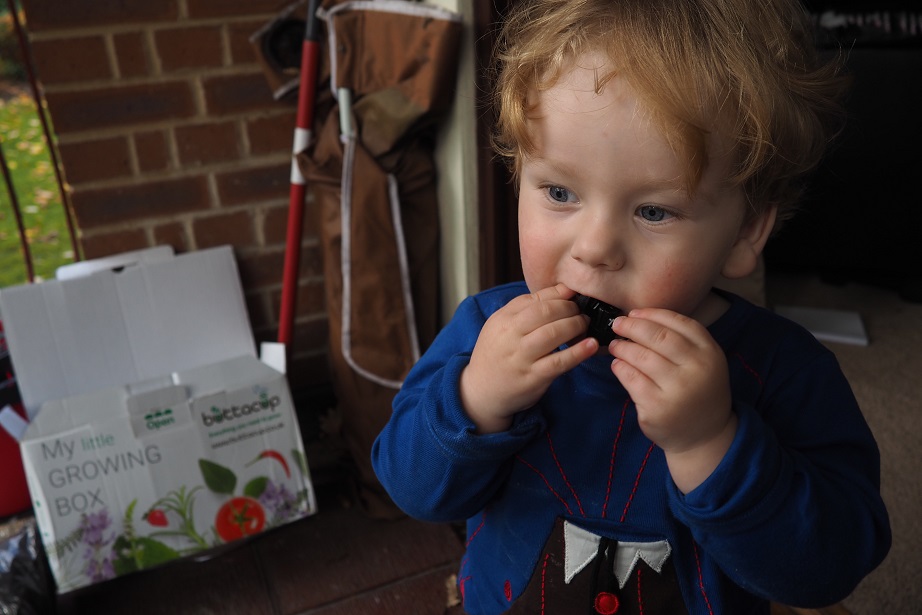 Buttacup Grow Kit Review , Giveaway, children gardening