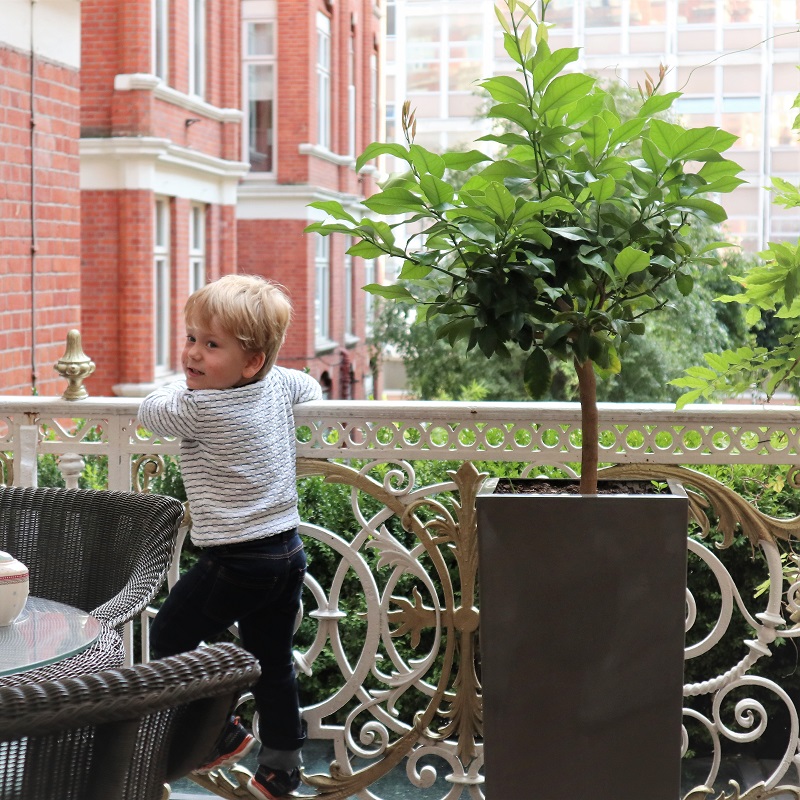 St. Ermin's' Afternoon Tea, London Afternoon Tea, Afternoon Tea Review, St Ermin's Hotel, Mini Gardener Tea, the Frenchie Mummy
