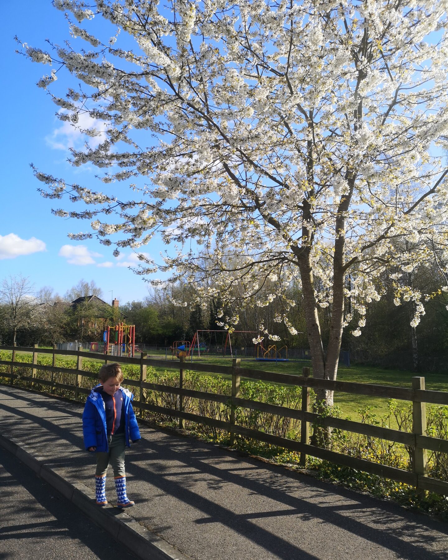 April 2021, Monthly Highlights, Life In Kent, Family Days out, the Frenchie Mummy