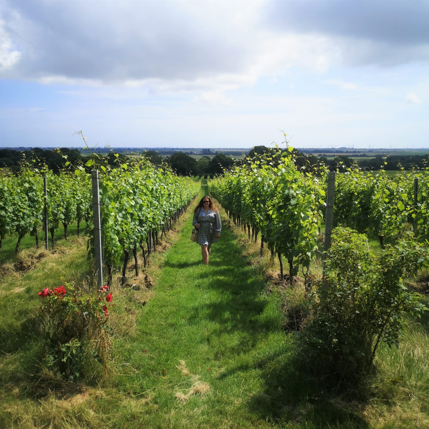 Picnic For Two With Gusbourne Wines, Gusbourne Vintage English Wines, English Sparkling Wines, Boutique English Winery, Things to do in Kent, Kent Life, Romantic Time, Appledore, Summer In Kent, Win, Giveaway, The Frenchie Mummy