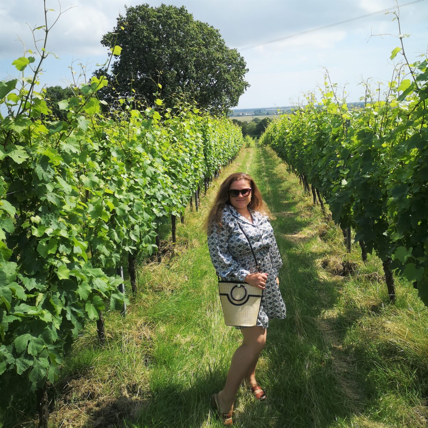 Picnic For Two With Gusbourne Wines, Gusbourne Vintage English Wines, English Sparkling Wines, Boutique English Winery, Things to do in Kent, Kent Life, Romantic Time, Appledore, Summer In Kent, Win, Giveaway, The Frenchie Mummy 