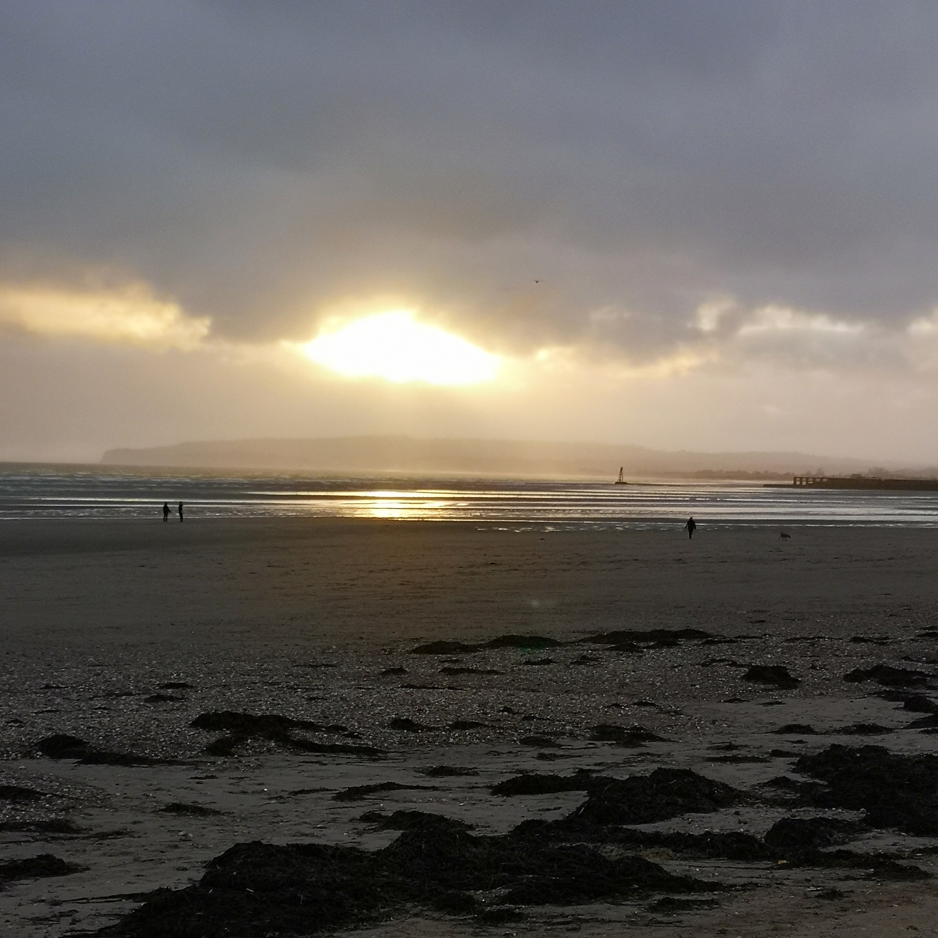November 2021, Monthly Highlights, The Frenchie Mummy, Beach Days, Camber Sands