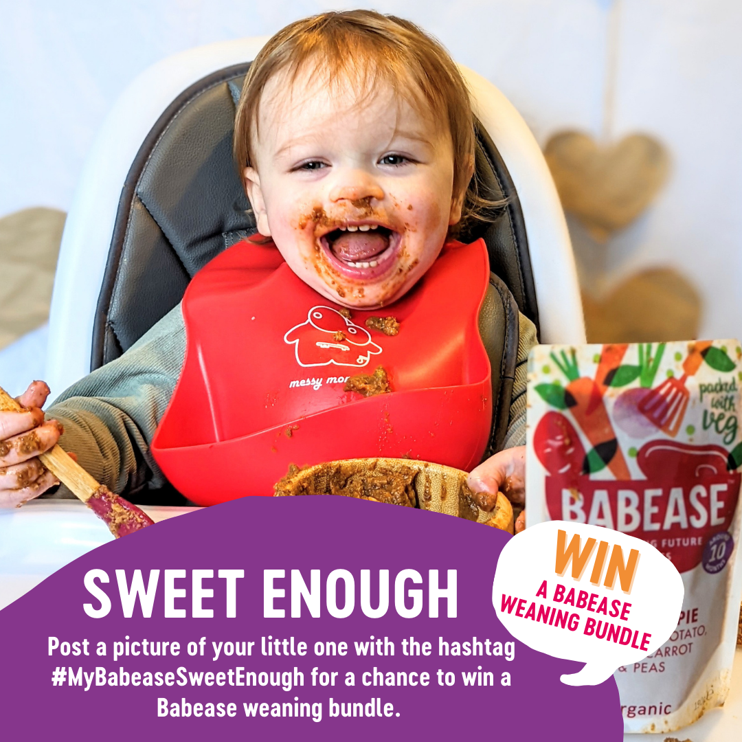 #MyBabeaseSweetEnough, Babease, Organic Food, Baby Pouches, Competition, No Sugar, Food Industry, Weaning, Baby Food, giveaway, the Frenchie Mummy
