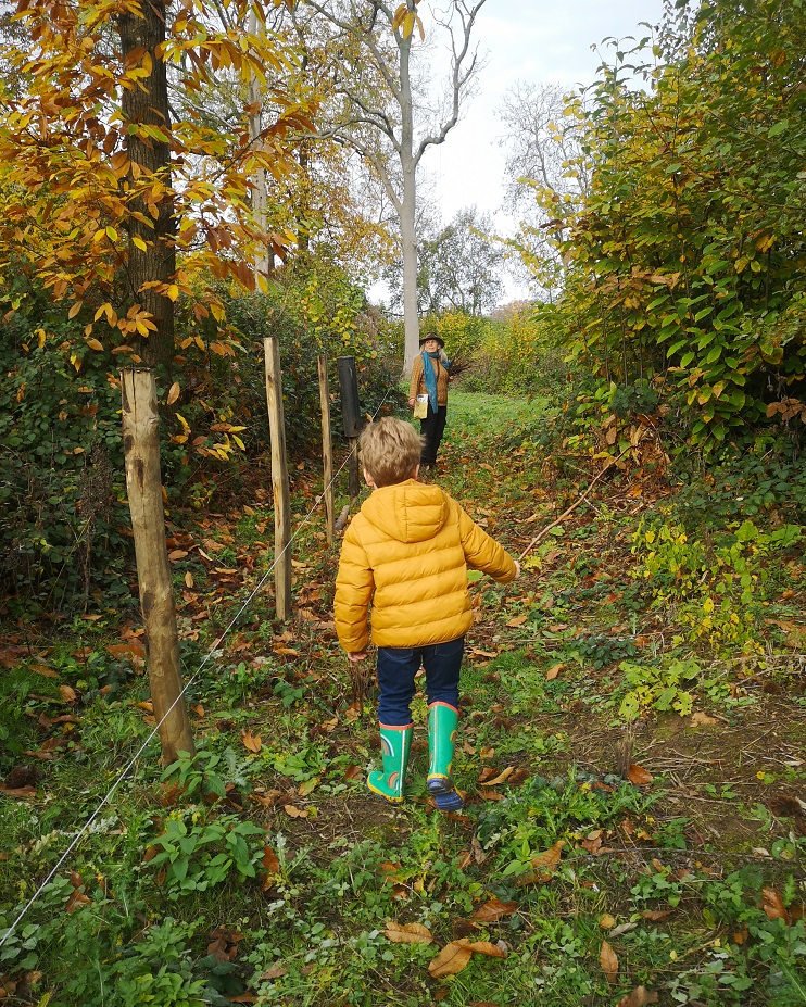 #upthekentdowns, Family Experiences with The Kent Downs, Kent Downs Area of Outstanding Natural Beauty, Kent Downs AONB, Kent Life, Family Adventures, Family Days out, Family Experience, Explore Kent, the Frenchie Mummy, Natural Pathways