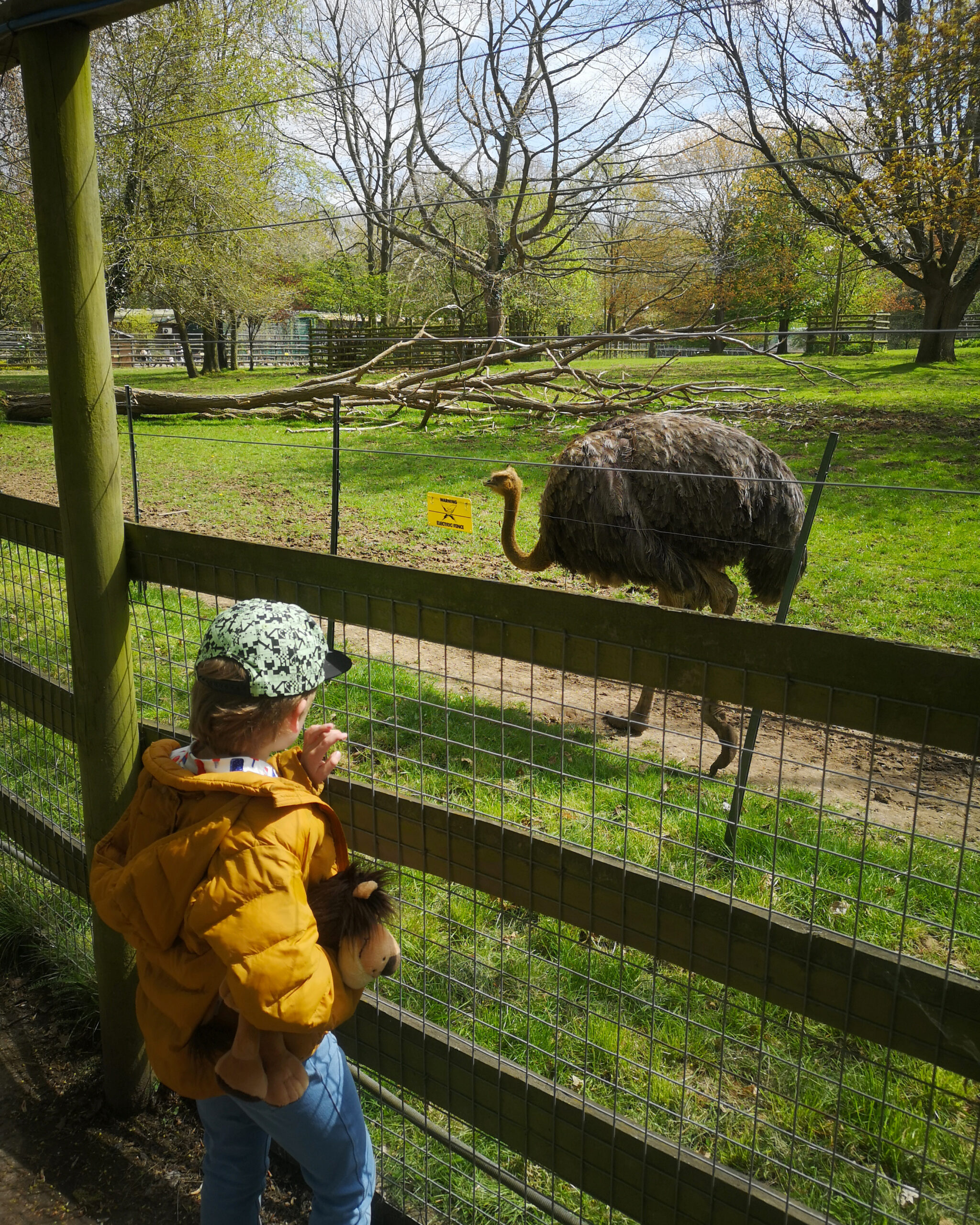 April 2023, Monthly highlights, April 2023 highlights, The Frenchie Mummy, Easter Break, Easter Holiday, Easter Weekend, Crete, Family Time, Life in Kent, Howletts Park, Sandwich
