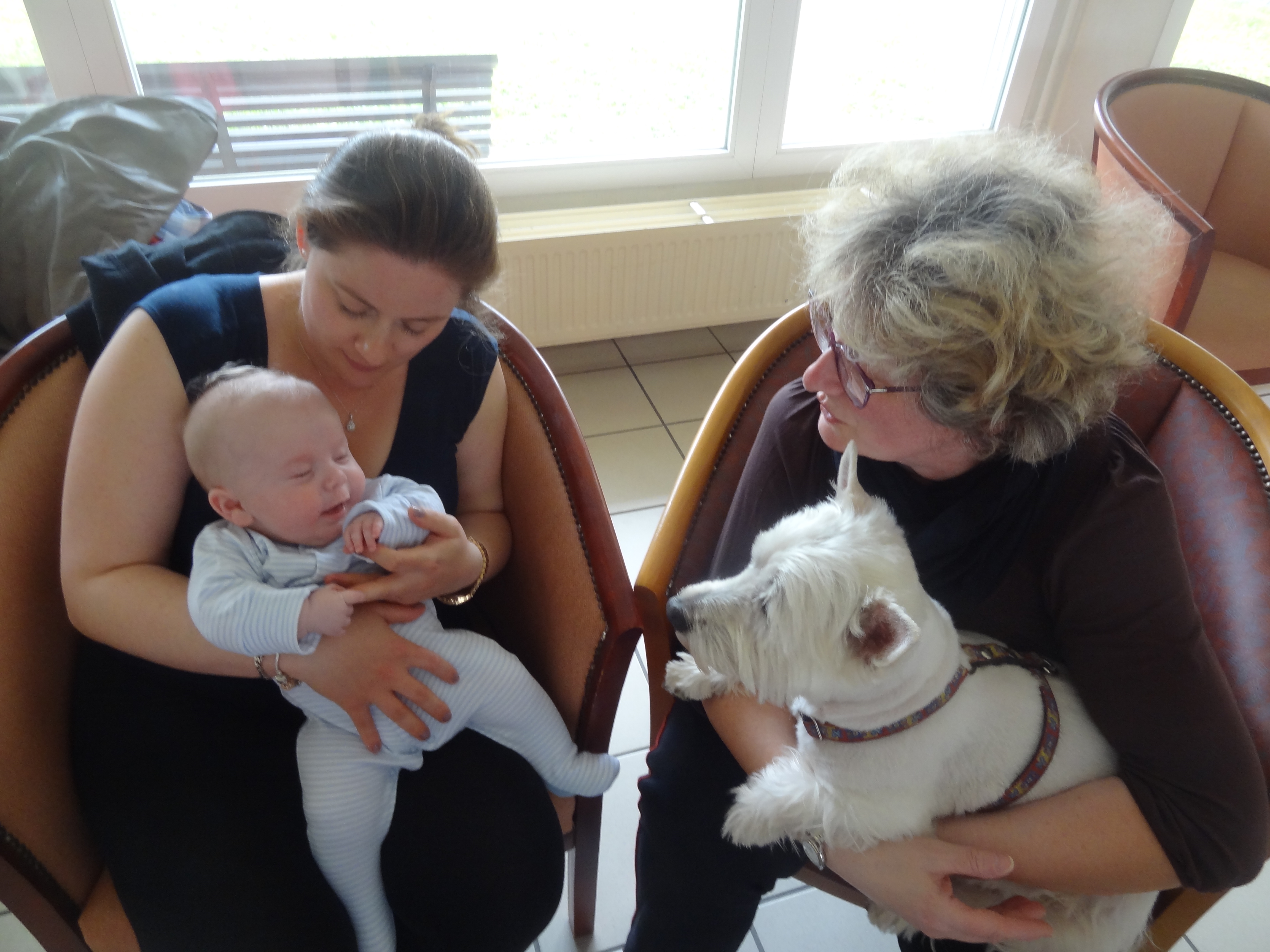 Frenchie Nanny