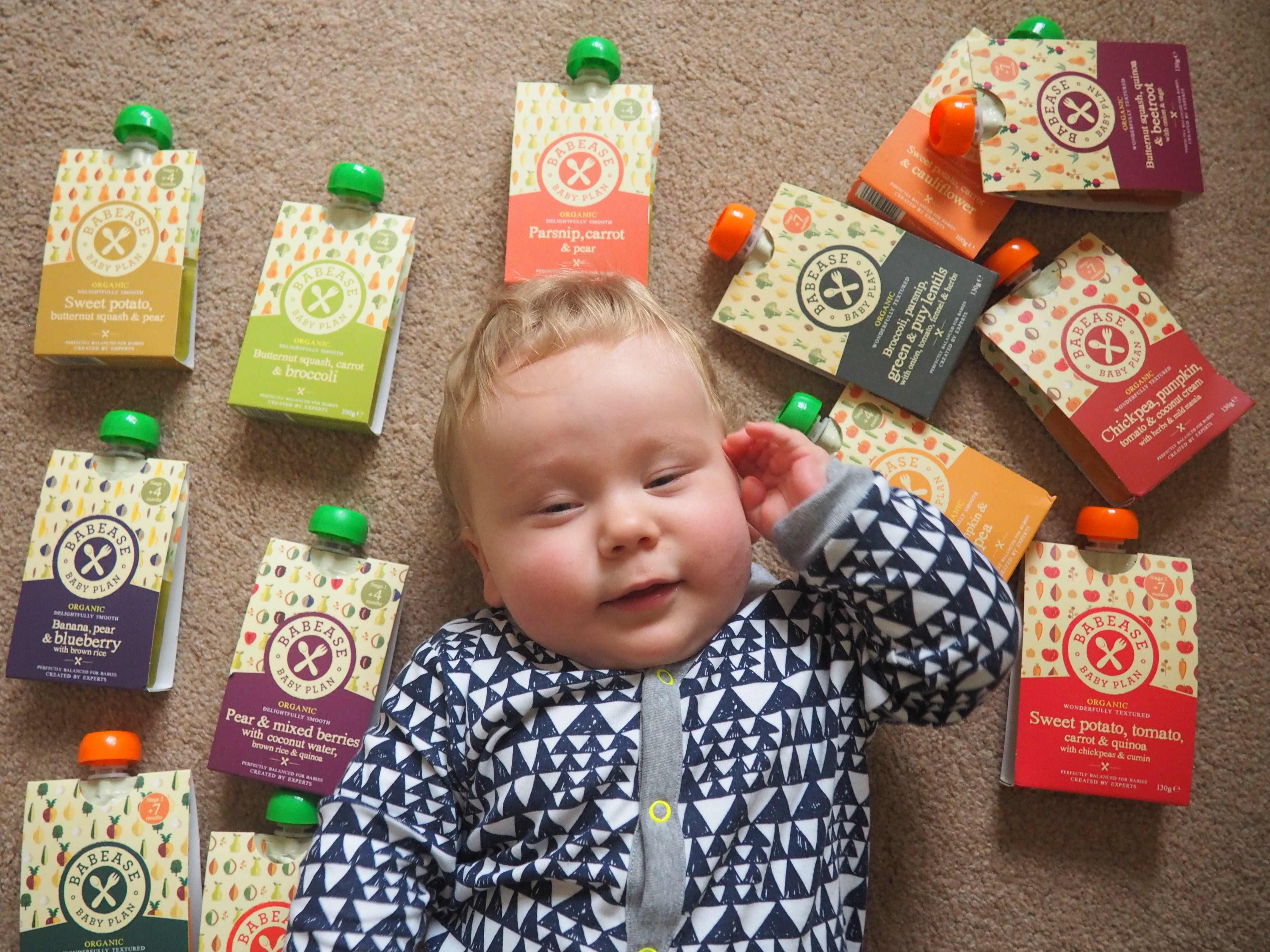Babease Baby Food Review