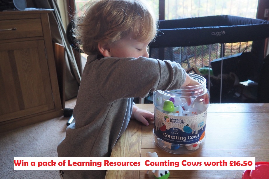 Learning Resources Counting Cows Review