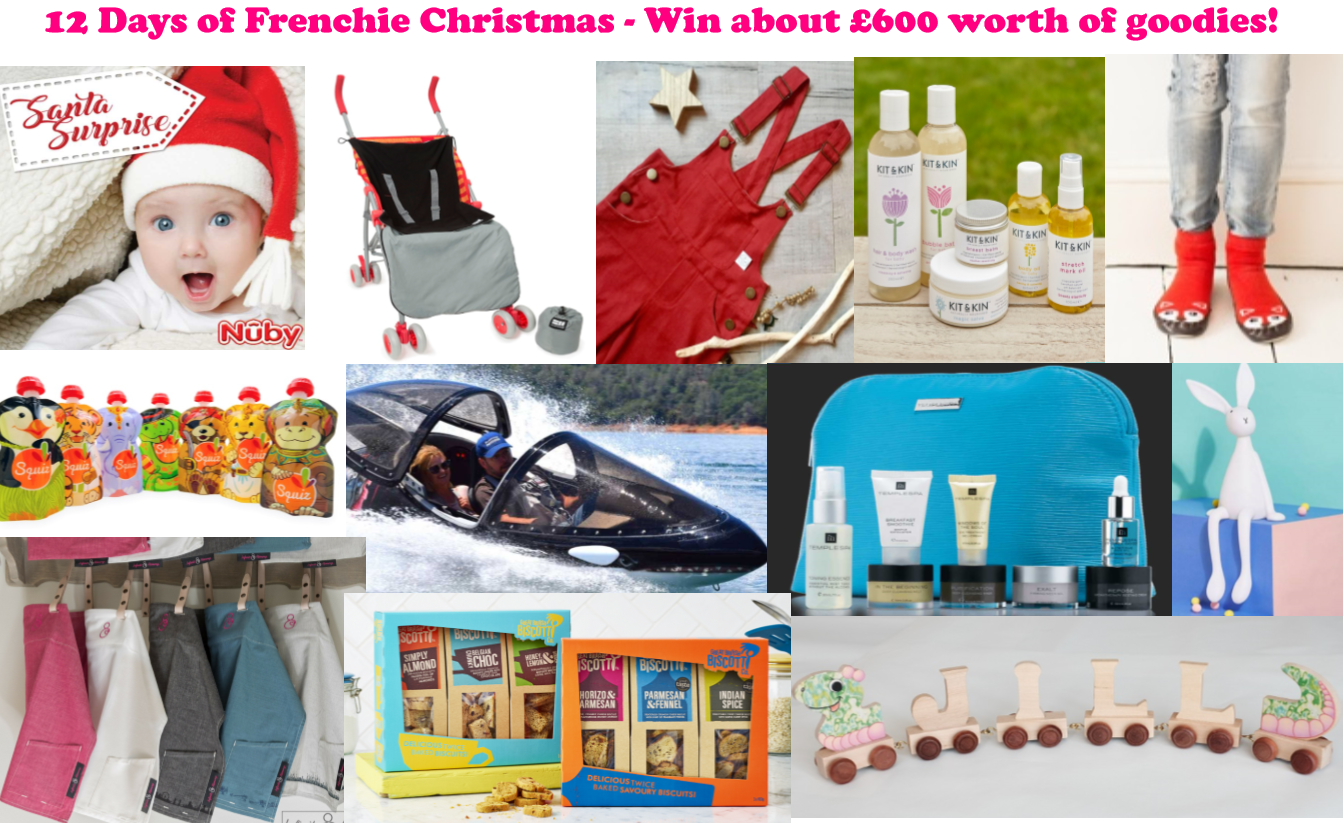 12 Days Of Frenchie Christmas