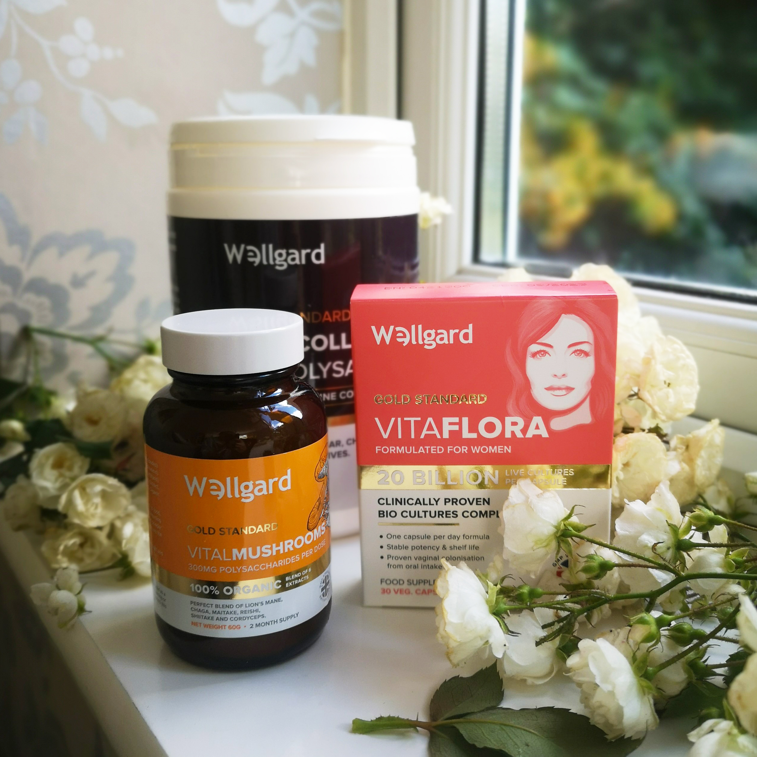 Wellgard Lot, Wellgard, Food Supplements, Probiotics, Wellness, Well-being, Collagen Powder, Giveaway, Win, Competition, the Frenchie Mummy