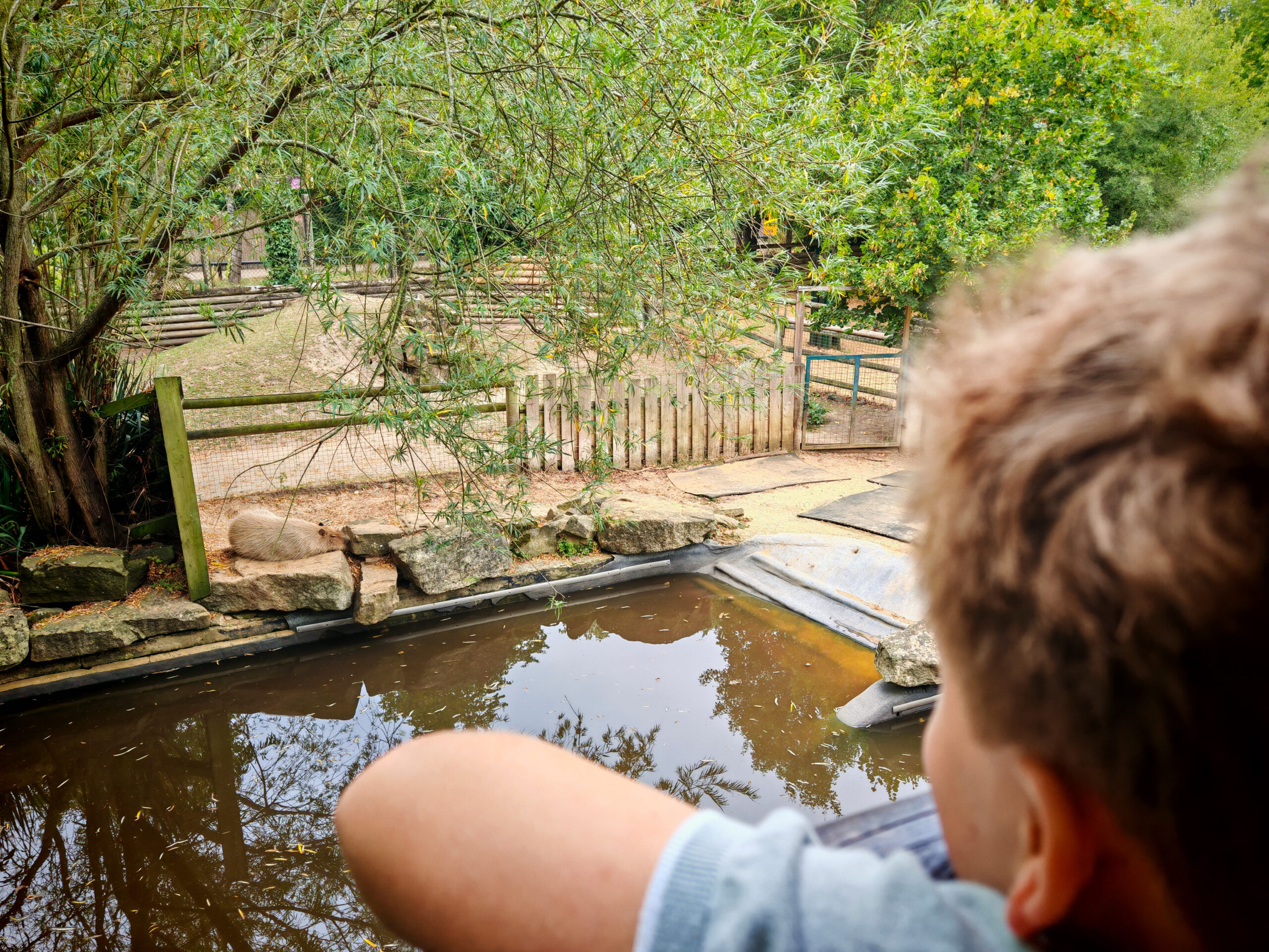 Fanhams Hall, Boutique Hotel in Hertfordshire, Family Stay, Family Travel, Hotel Review, Fanhams Hall, the Exclusive Collection, The Hertfordshire Zoo, Roar & Snore Package, the Frenchie Mummy