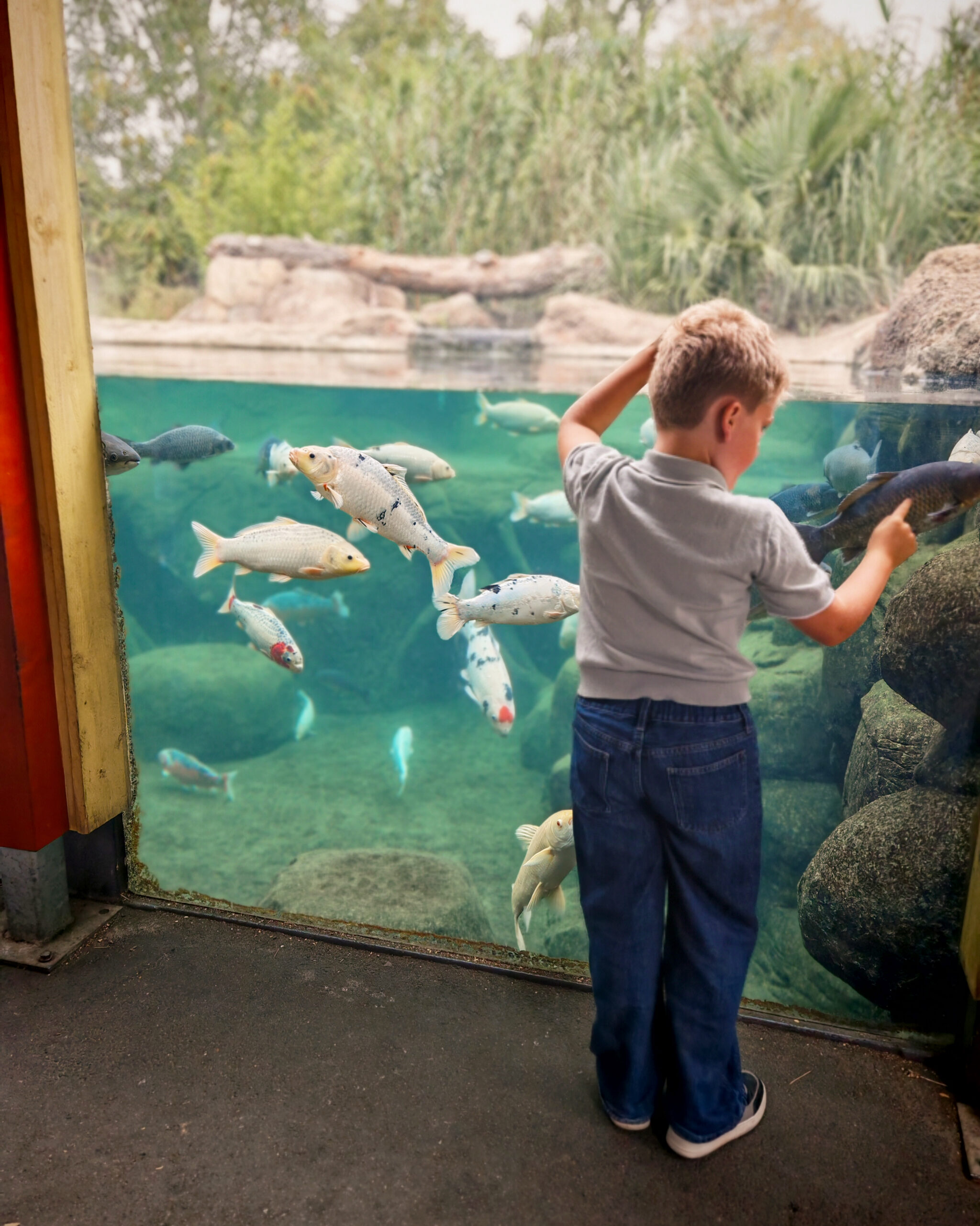 August 2025, Monthly Highlights, the Frenchie Mummy, Hertfordshire Zoo