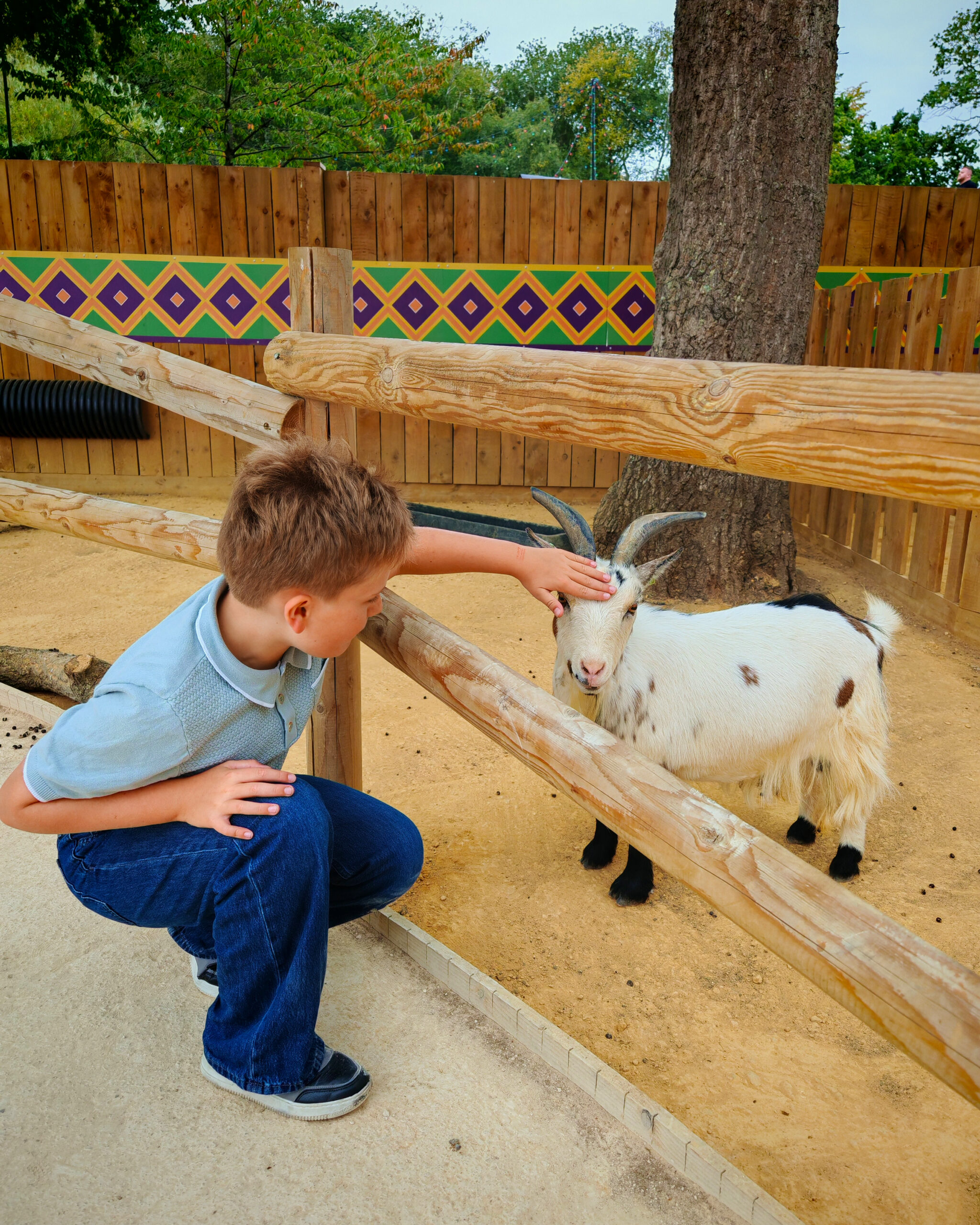 August 2025, Monthly Highlights, the Frenchie Mummy, Hertfordshire Zoo