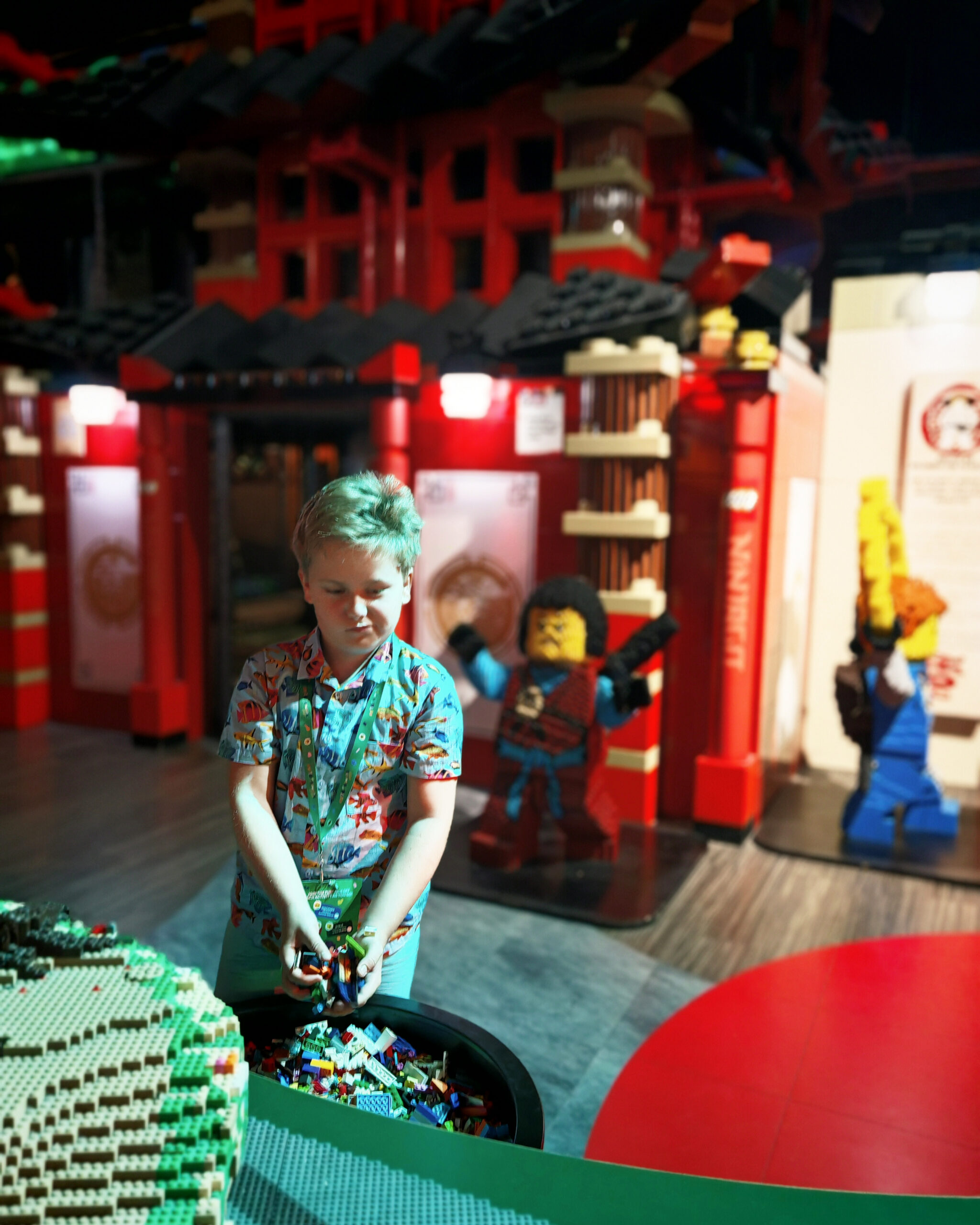 August 2025, Monthly Highlights, the Frenchie Mummy, Manchester, LEGOLAND Discovery Centre