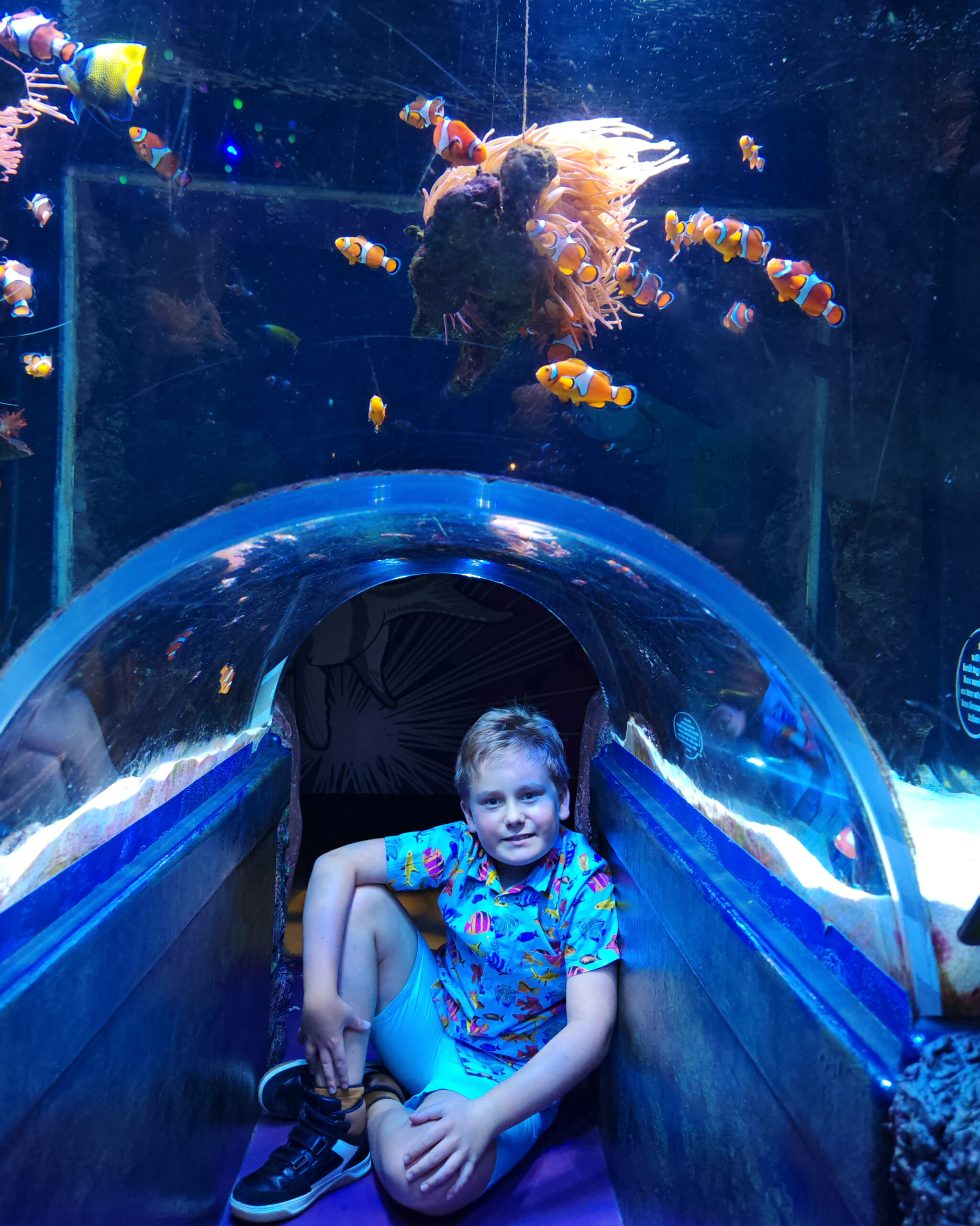 August 2025, Monthly Highlights, the Frenchie Mummy, Scotland, Manchester, Hyatt House Manchester, SEA LIFE Manchester