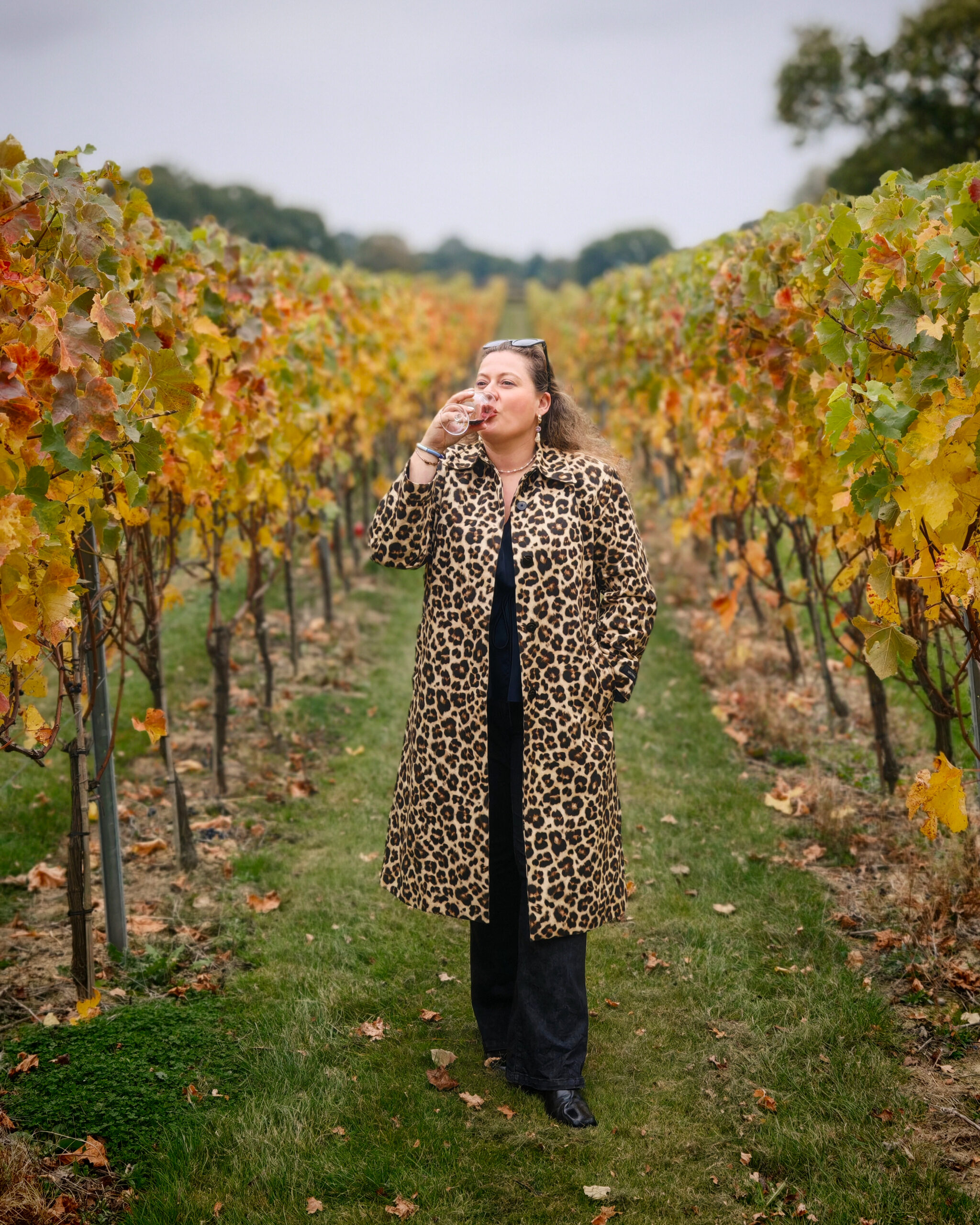 October 2025, Monthly Highlights, The Frenchie Mummy, Windsor, Kent Wine Tours