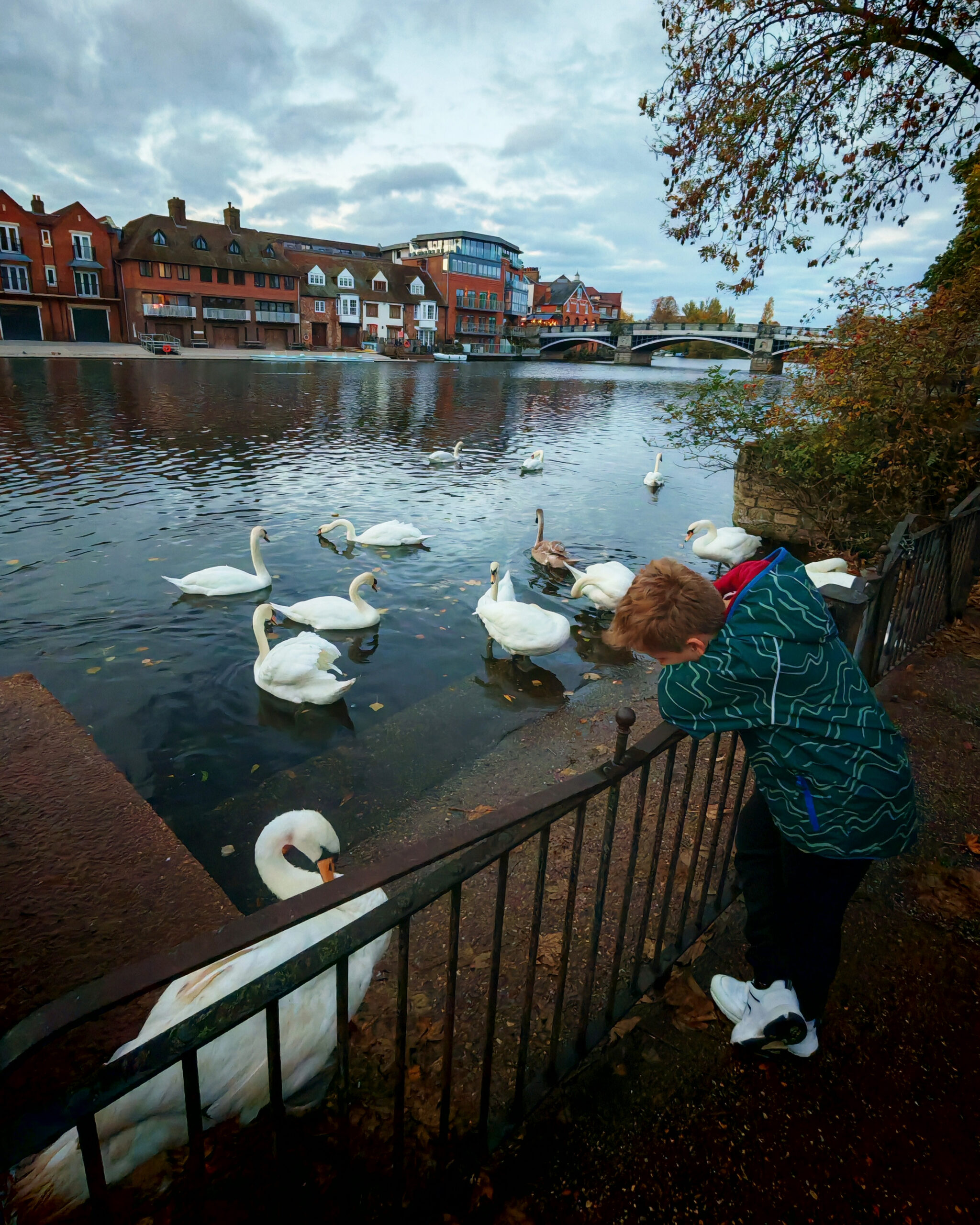 October 2025, Monthly Highlights, The Frenchie Mummy, Macdonald Windsor Hotel, Windsor