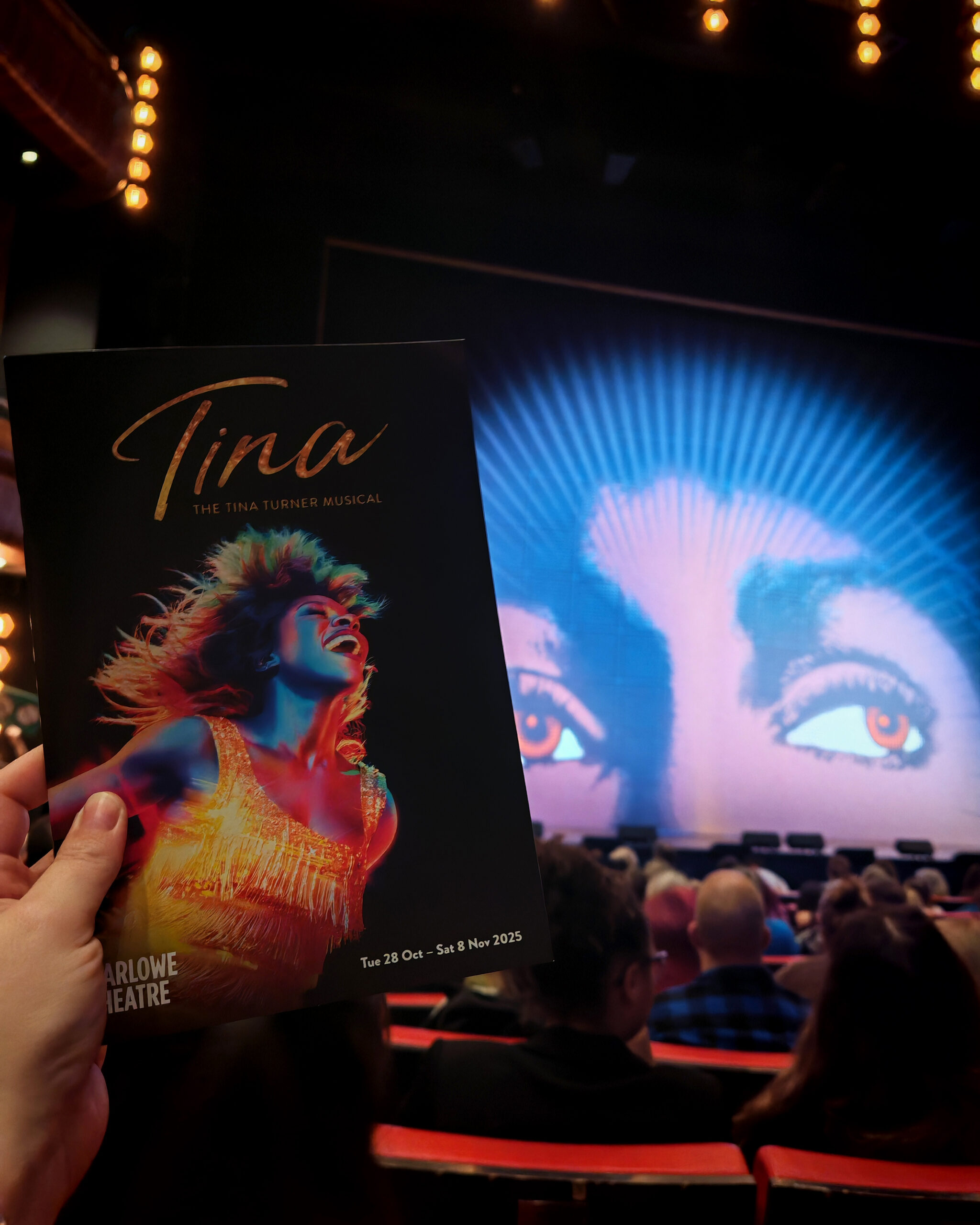 October 2025, Monthly Highlights, The Frenchie Mummy, Tina Turner Musical