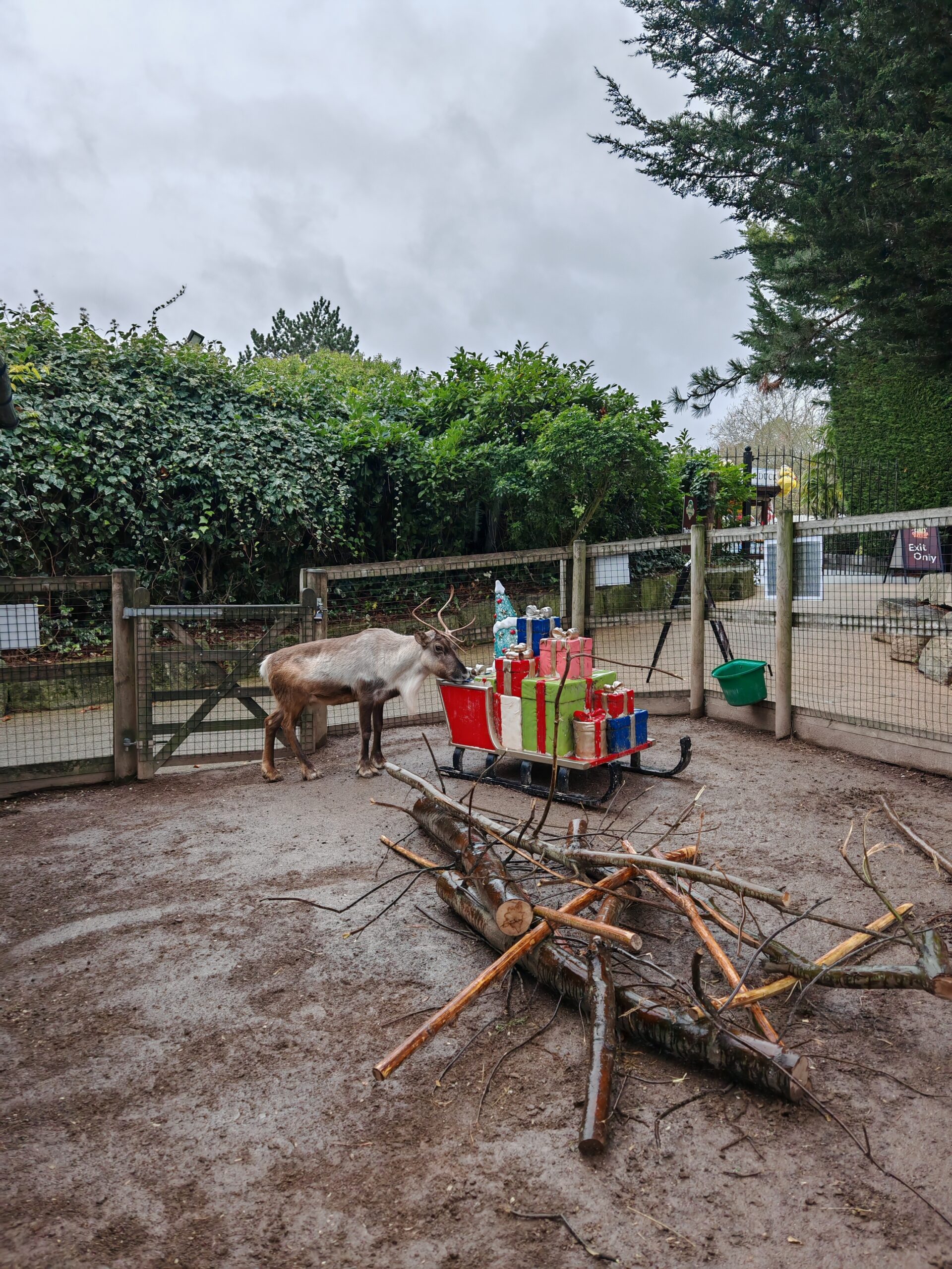 Chessington World of Adventures Resort at Christmas, Chessington World of Adventures Resort, Theme Park, Chessington's Winter's Trail, Christmas Trail in the UK, Christmas Fun, Christmas Events in The UK, the Frenchie Mummy, Family-Friendly, Chessington Safari Hotel, Theme Park Review