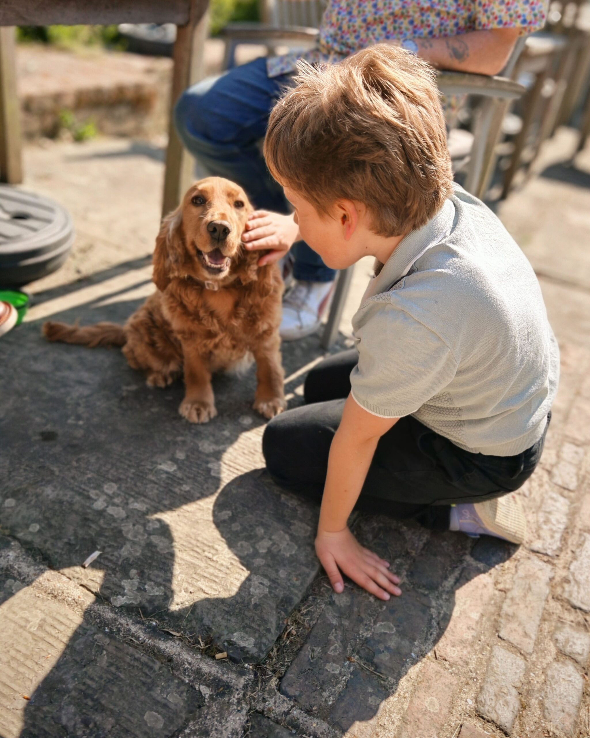 Keeping Both Kids and Dogs Happy, Kids & Dogs, Kids with dogs, How to introduce dogs to kids, Toddlers with dogs, toddlers with pets, family life with dogs, the Frenchie Mummy Keeping Both Kids and Dogs Happy, Kids & Dogs, Kids with dogs, How to introduce dogs to kids, Toddlers with dogs, toddlers with pets, family life with dogs, the Frenchie Mummy
