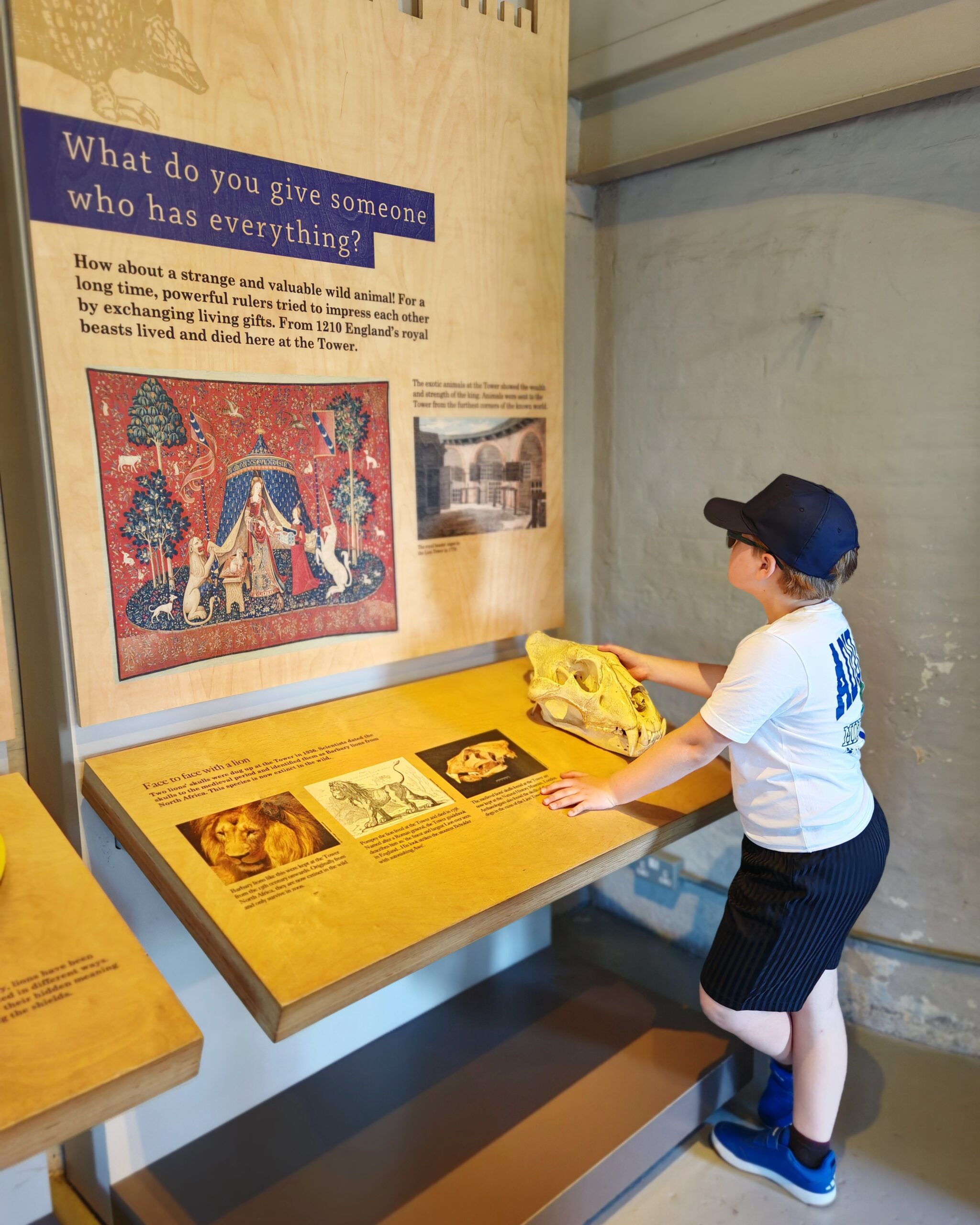 white little boy reading the history of the Tower of London, in one of the gate at the London attraction white little boy reading the history of the Tower of London, in one of the gate at the London attraction