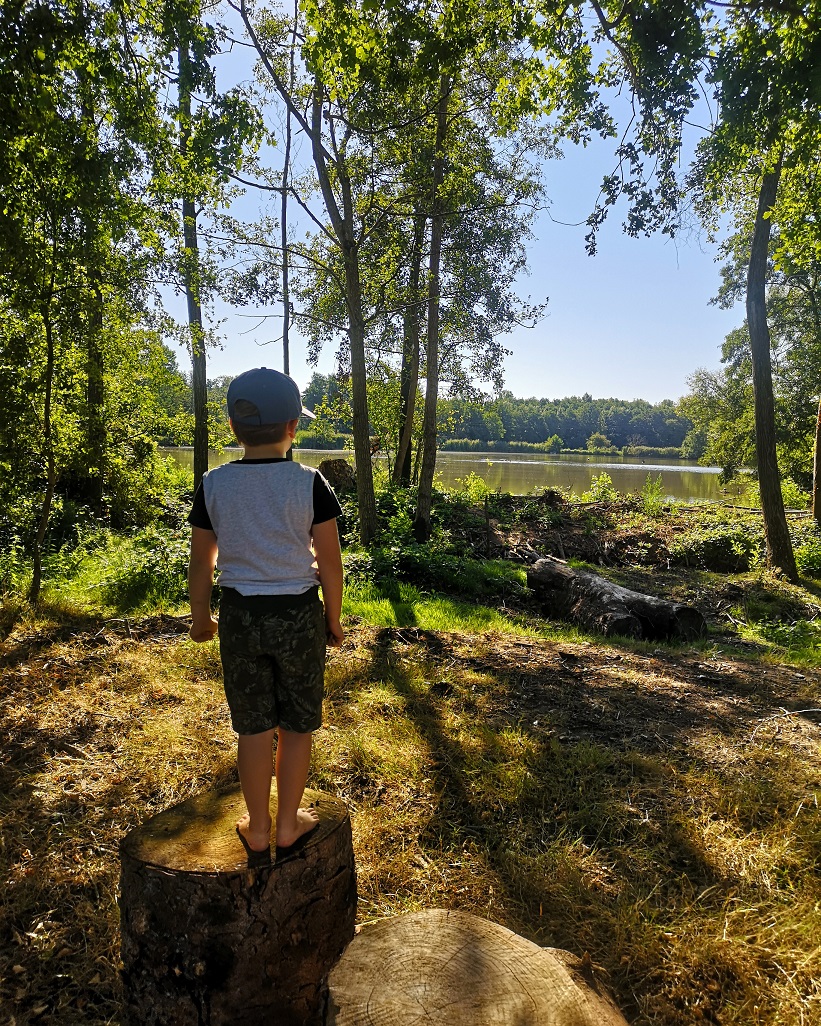 White little boy looking at a lake while standing the roots of a tree. It's by a lake like in Ontario, Canada White little boy looking at a lake while standing the roots of a tree. It's by a lake like in Ontario, Canada